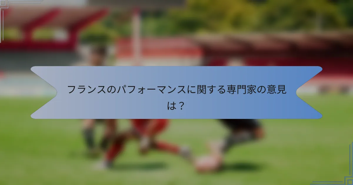 フランスのパフォーマンスに関する専門家の意見は？